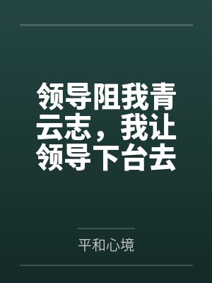 岭南之夜封面