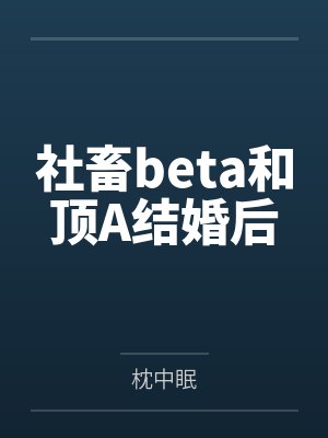 变身游戏小说封面
